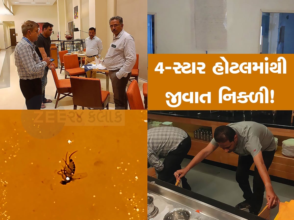 અમદાવાદની 4-સ્ટાર હોટલમાંથી મંગાવેલા સુપમાં નિકળી જીવાત, AMCએ કિચન કર્યું સીલ