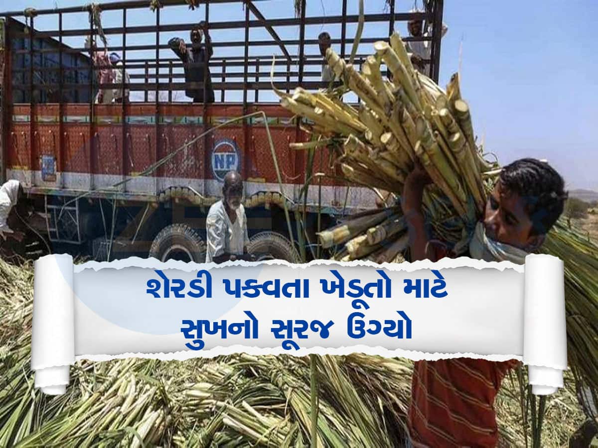દક્ષિણ ગુજરાતના ખેડૂતો માટે સોનાનો દિવસ, સુગર મિલોએ શેરડીના ભાવ જાહેર કર્યાં, સૌથી વધુ આ મિલે આપ્યો વધારો