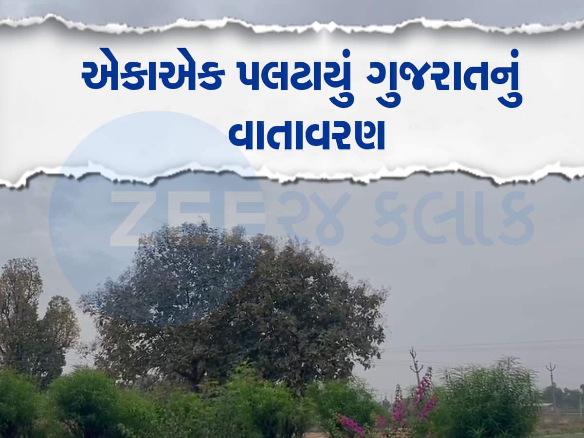 Gujarat Weather: ગુજરાતમાં ભર ઉનાળે વરસાદ આવ્યો, બે જિલ્લામાં વાદળો સાથે તૂટી પડ્યો વરસાદ 