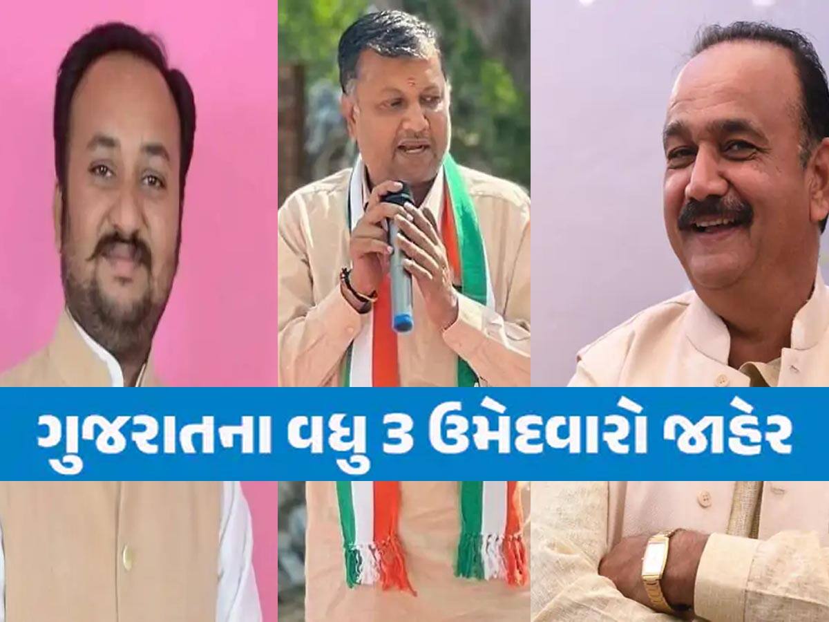 ગુજરાત કોંગ્રેસે 2022માં ચૂંટણી હારેલા 3 ઉમેદવારોને ફરી મેદાનમાં ઉતાર્યા, જાણો કોને મળી છે ટિકિટ