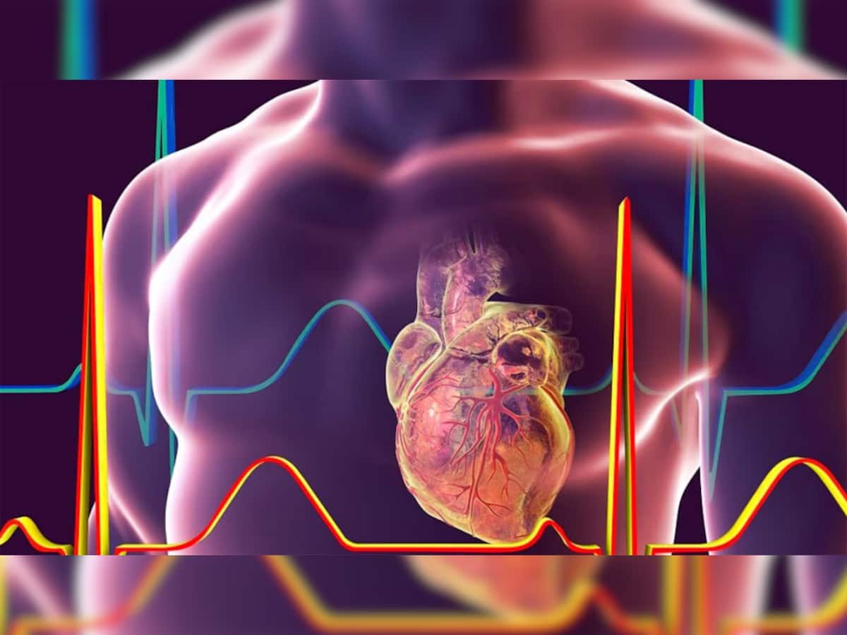 Heart Attack: હાર્ટ એટેકના 30 દિવસ પહેલાં શરીરમાં જોવા મળે છે આ 7 લક્ષણ, ઈગ્નોર કરવાની ભુલ ન કરવી