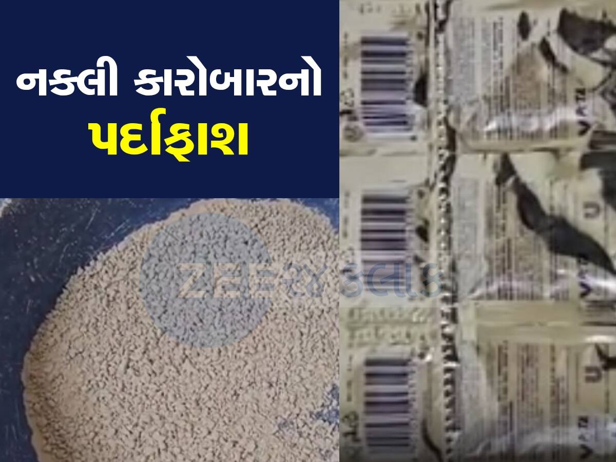 હવે ગુજરાતમાં નકલી શેમ્પુ અને ગુટખાનો ધંધો, સુરતમાંથી ઝડપાયું ગોડાઉન, 40 લાખનો મુદ્દામાલ કબજે
