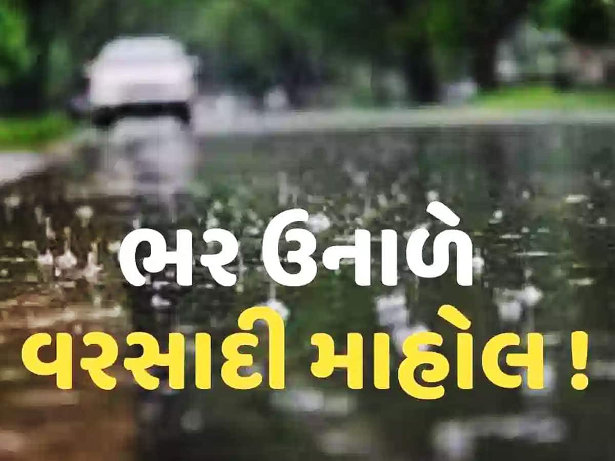 મારી નાખ્યા! ભરઉનાળે વરસાદની આગાહી, ગુજરાતમાં ડિસકમ્ફર્ટ કન્ડિશનની પણ વોર્નિંગ