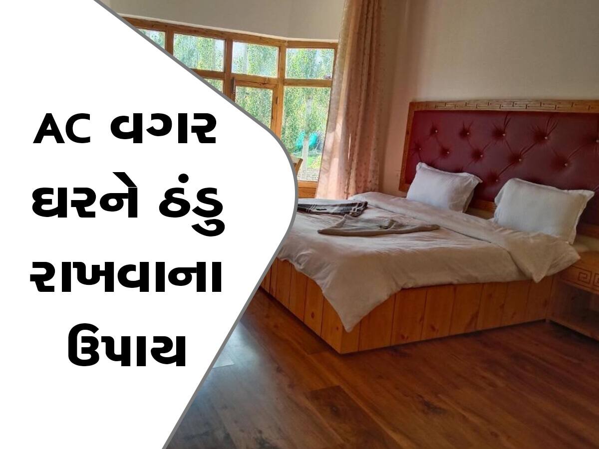 Summer Tips: AC વગર ઘર રહેશે ઠંડા-ઠંડા કૂલ-કૂલ, ઘરને ગરમ થવાથી બચાવવા માટે અપનાવો આ કુદરતી ઉપાયો