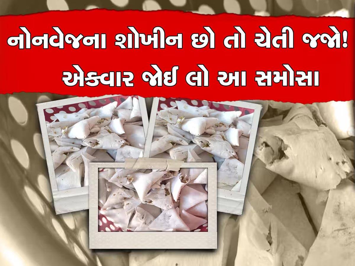 વડોદરામાં ગૌમાંસના સમોસા મામલે DCP પન્ના મોમાયાનું મોટું નિવેદન, વધુ એક આરોપીનું ખૂલ્યું નામ