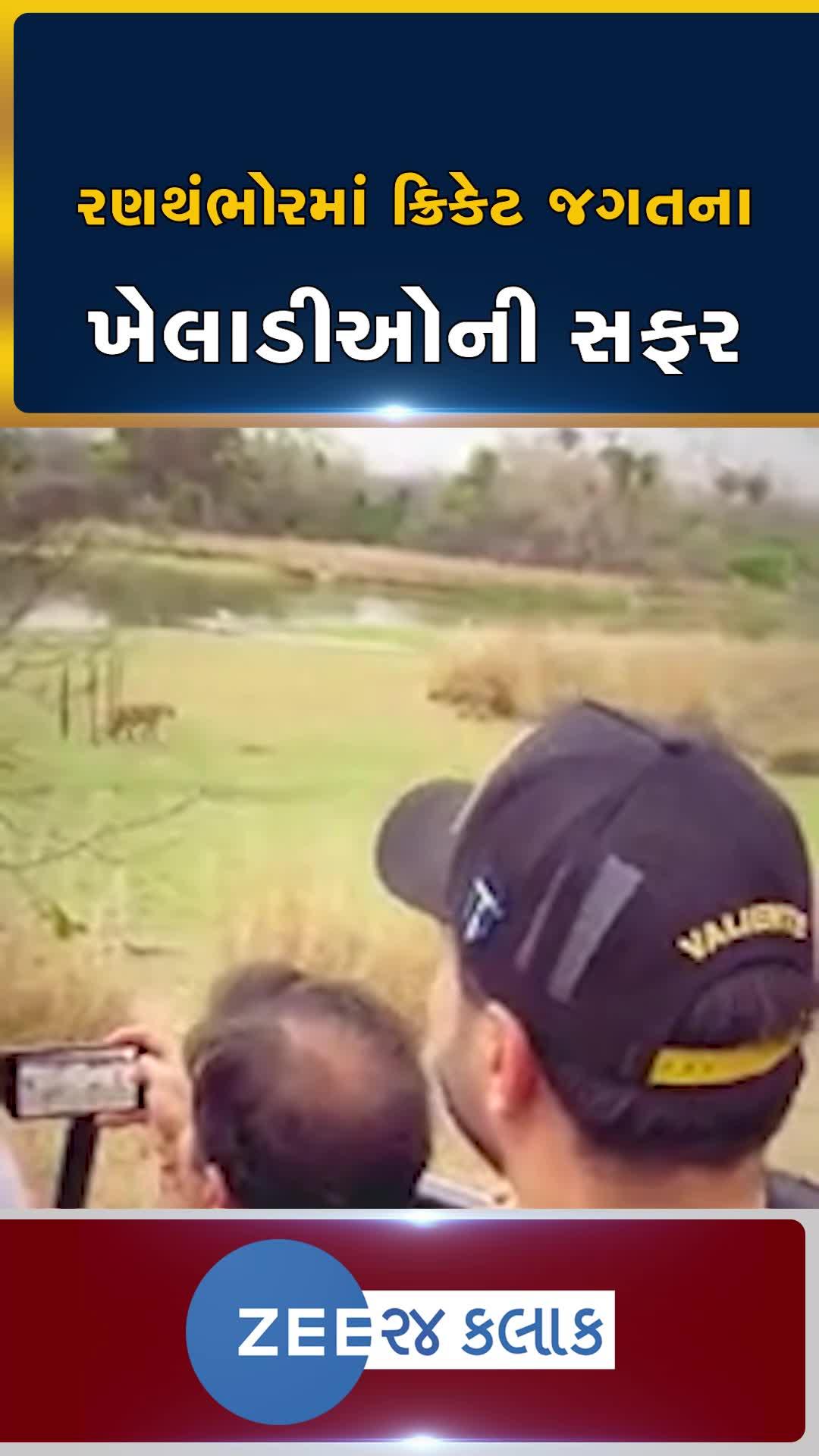 રાજસ્થાનના રણથંભોરમાં ક્રિકેટના ખેલાડીઓની સફર, રાશિદ ખાન-કૈન વિલિયમ્સ-સ્પેંસર જૉનસને વન્યજીવો નિહાળ્યા