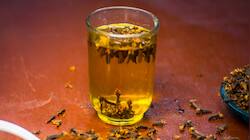 Clove water: રોજ ખાલી પેટ લવિંગનું પાણી પીવાથી થતા જબરદસ્ત ફાયદા વિશે જાણો