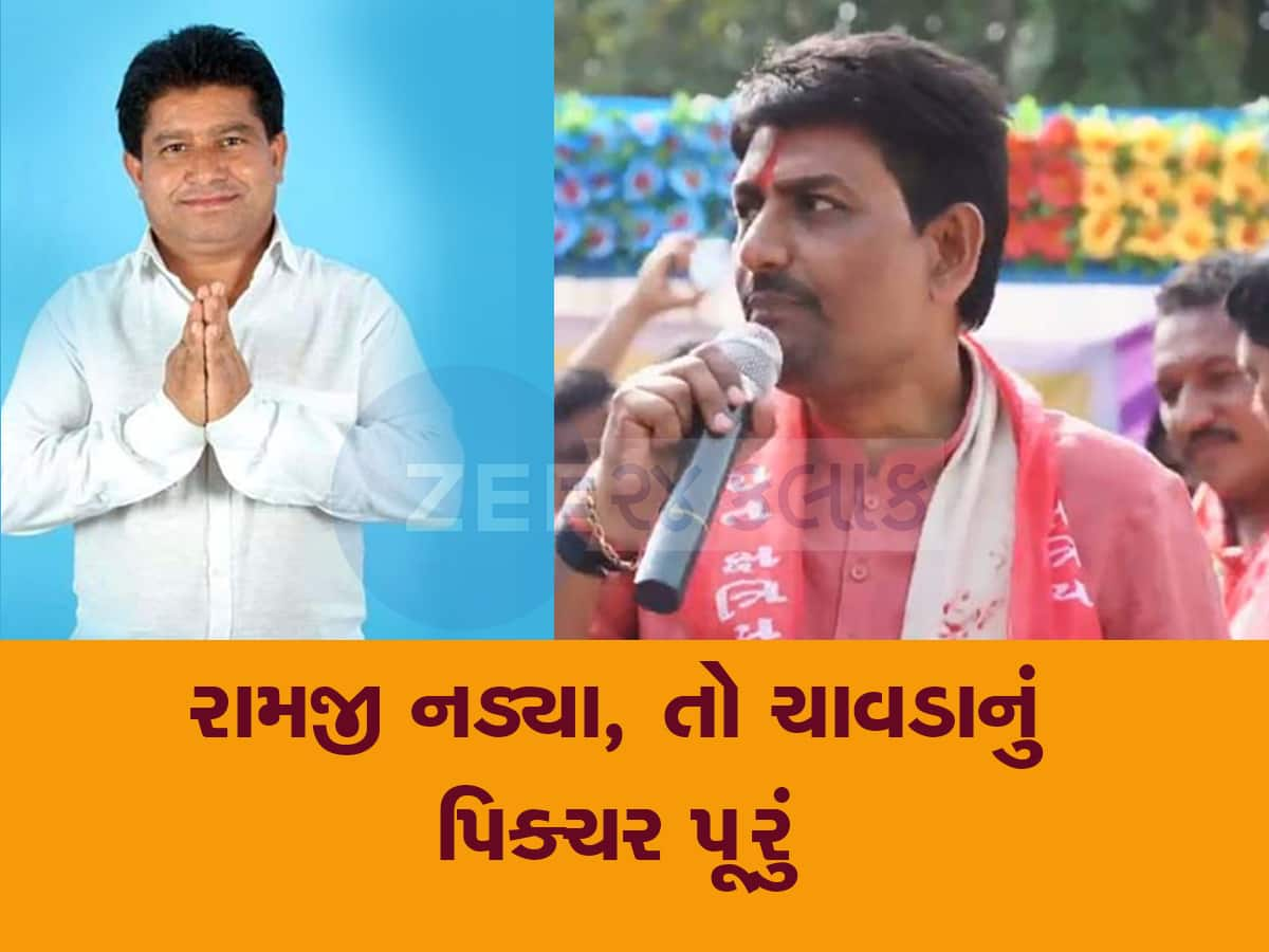 અલ્પેશ ઠાકોરનું મંત્રીપદ ના કપાય એ માટે એક સમયના જૂના સાથી કરશે મદદ, ચાવડાને ભારે પડશે