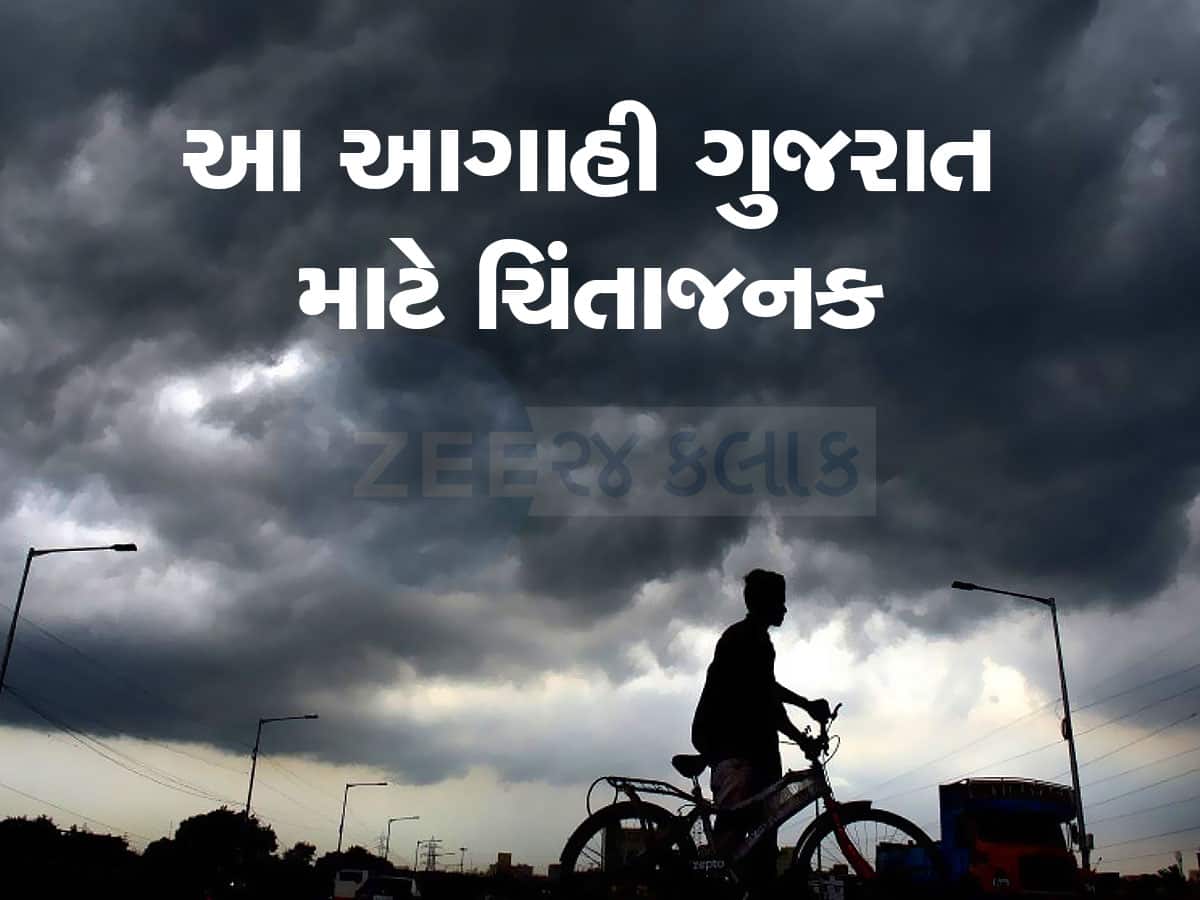 Monsoon 2024: 20થી વધુ રાજ્યોમાં જોવા મળશે મેઘ તાંડવ, જાણો શું કહે છે ગુજરાત માટે IMD ની આગાહી