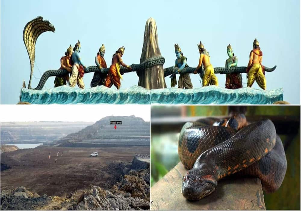 massive snake fossils found in in kutch mine gujarat by IIT roorkee ...