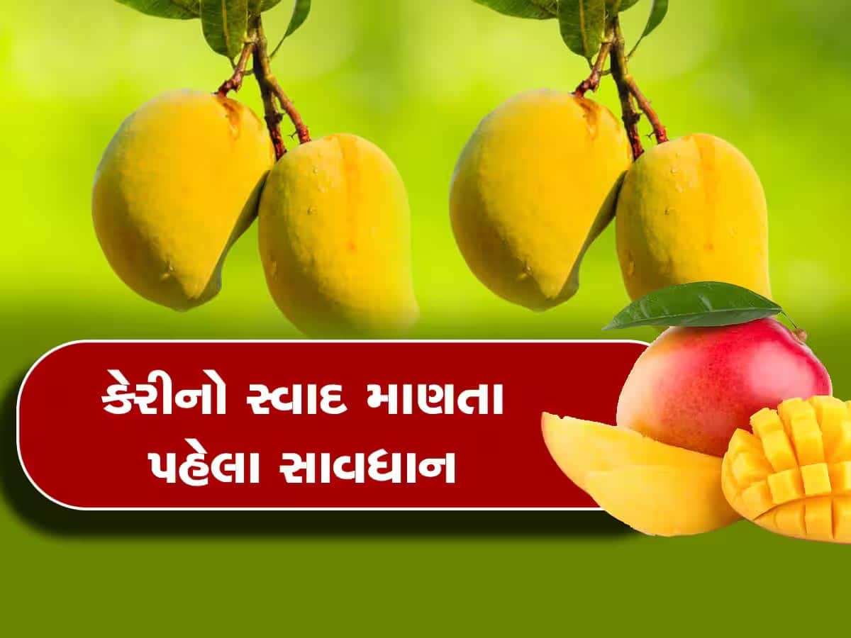 આ કેરી સ્વાસ્થ્યની પથારી ફેરવી નાખશે! જો તમે કેરી ખાવાના શોખીન છો તો સાવધાન