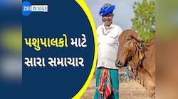લોકસભાની ચૂંટણી વચ્ચે બનાસ ડેરીએ પશુપાલકોને આપી ભેટ; દૂધના ખરીદ ભાવમાં કર્યો વધારો