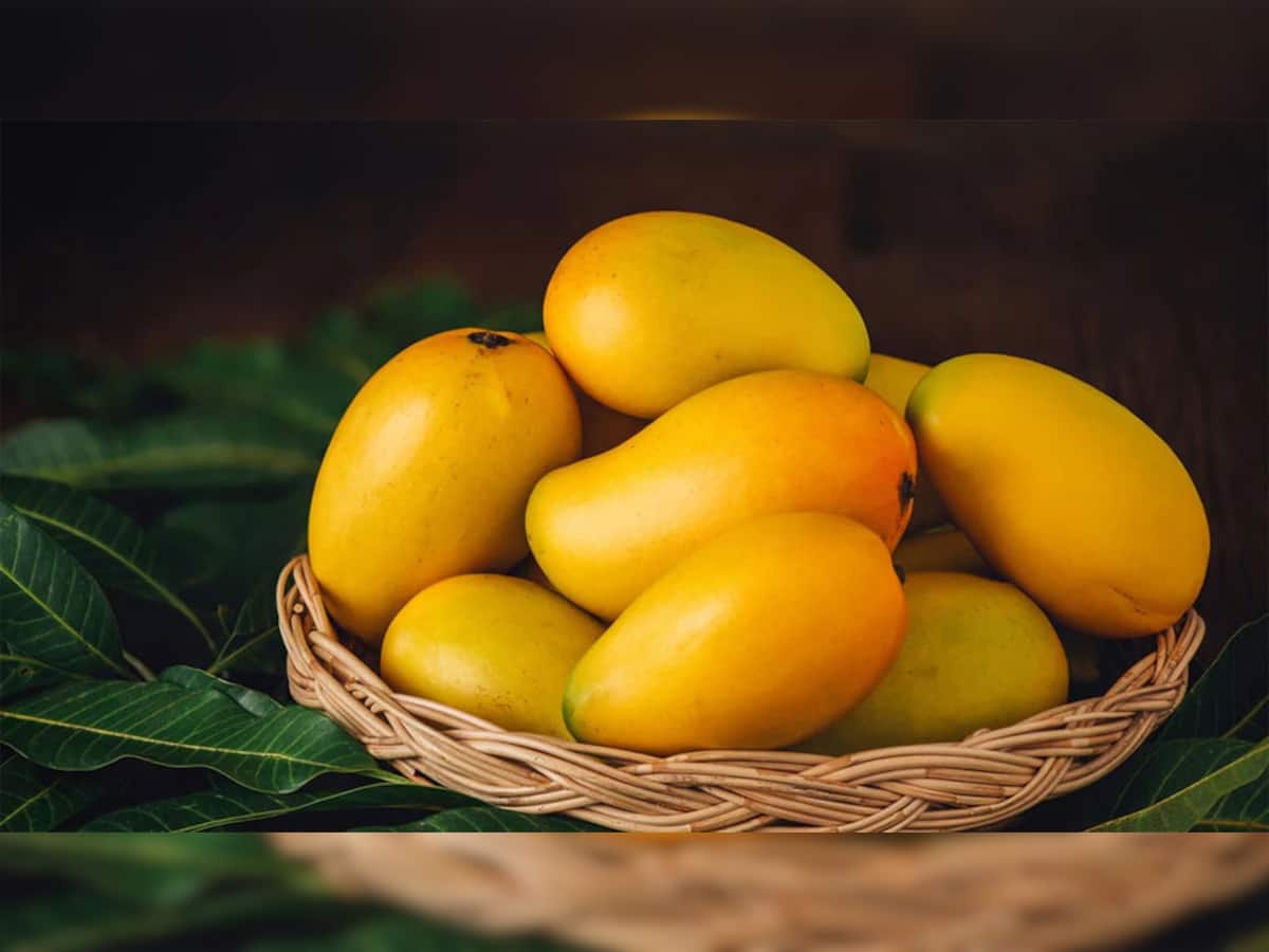 Mangoes In Diabetes: ડાયાબિટીસ હોય તો કેરી ખવાય કે નહીં ? તમને પણ આ પ્રશ્ન થતો તો જાણી લો સાચો જવાબ