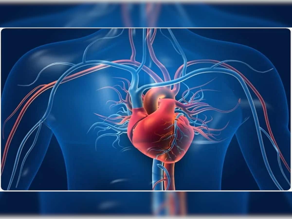 Heart Health: હાર્ટની સૌથી મોટી ધમની બ્લોક હોય ત્યારે શરીરમાં જોવા મળે આ 7 લક્ષણ, તુરંત કરવી સારવાર