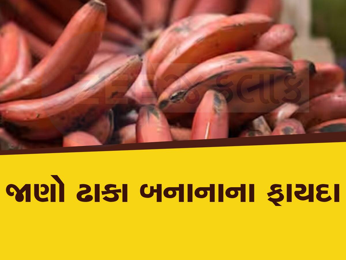 Red Banana Benefits પીળા કેળા તો ખૂબ ખાધા લાલ કેળા પણ છે સ્વાસ્થ્યનો