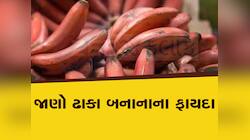 પીળા કેળા તો ખૂબ ખાધા લાલ કેળા પણ છે સ્વાસ્થ્યનો ખજાનો, કિડની-કેન્સર માટે કારગર