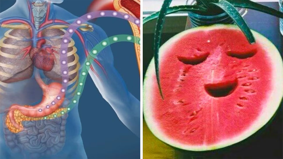 Watermelon In Diabetes:ડાયાબિટીસમાં તરબૂચ ખાવાથી નુકસાન ? જાણો બ્લડ શુગર પર થતી અસર વિશે Watermelon In Diabetes:ડાયાબિટીસમાં તરબૂચ ખાવાથી નુકસાન ? જાણો બ્લડ શુગર પર થતી અસર વિશે