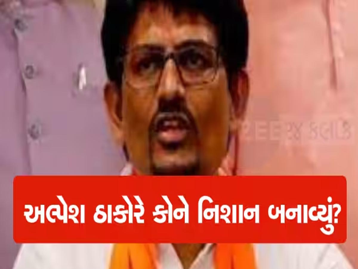 ક્ષત્રિય સમાજના વિરોધ અંગે પૂછતા અલ્પેશ ઠાકોરનું મહત્વપૂર્ણ નિવેદન, કહ્યું; 'આ વિરોધ તો માત્ર...'