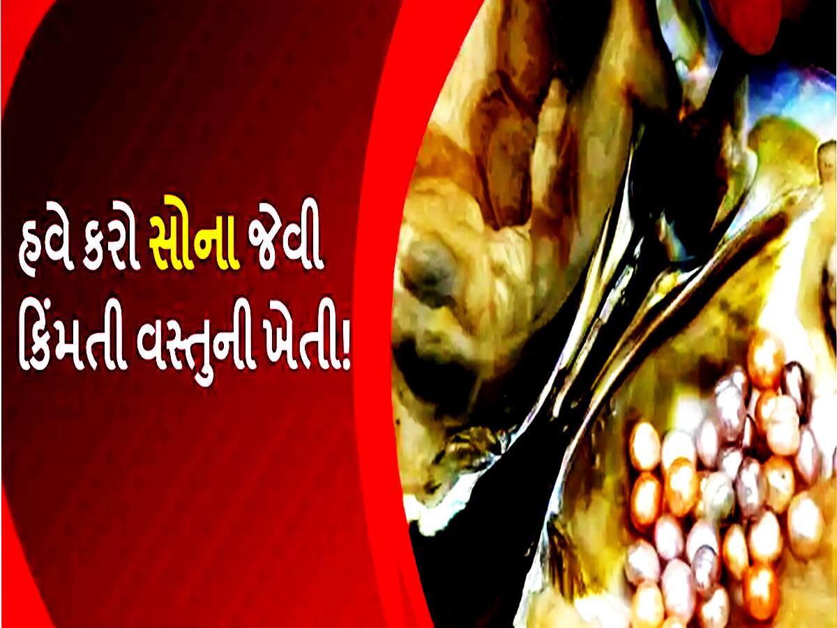 ફળ, શાકભાજી કે અનાજ નહીં... સ્માર્ટ ખેડૂતો આ વસ્તુની ખેતીથી કરે છે અધધ કમાણી!