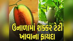 ઉનાળામાં તરબૂચ કરતા પણ બેસ્ટ છે આ ફળ, ગરમીમાં શરીર માટે કહેવાય છે 'અમૃતફળ'