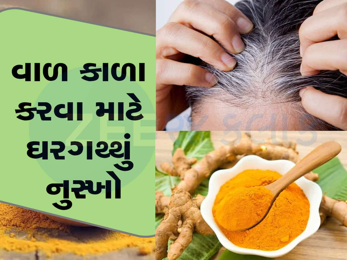 સફેદ વાળ કુદરતી રીતે કરવા છે કાળા? હળદરમાં આ એક વસ્તુ ભેળવીને અજમાવી જુઓ