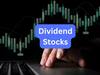   Havells India Q4 Results