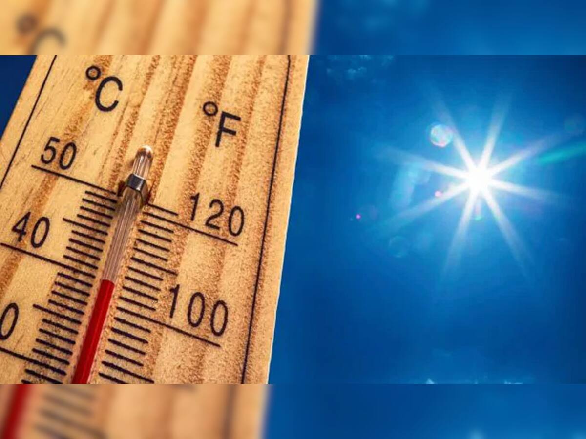 Heatwave Safety Tips: હીટવેવ દરમિયાન પણ રહેવું હોય હેલ્ધી તો આ વાતનું ધ્યાન રાખવું સૌથી જરૂરી