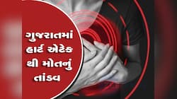 બાપ રે...ગુજરાતમાં એક જ દિવસમાં 3 લોકોના હાર્ટએટેકથી મોત, ડરામણો છે WHOનો આ રિપોર્ટ