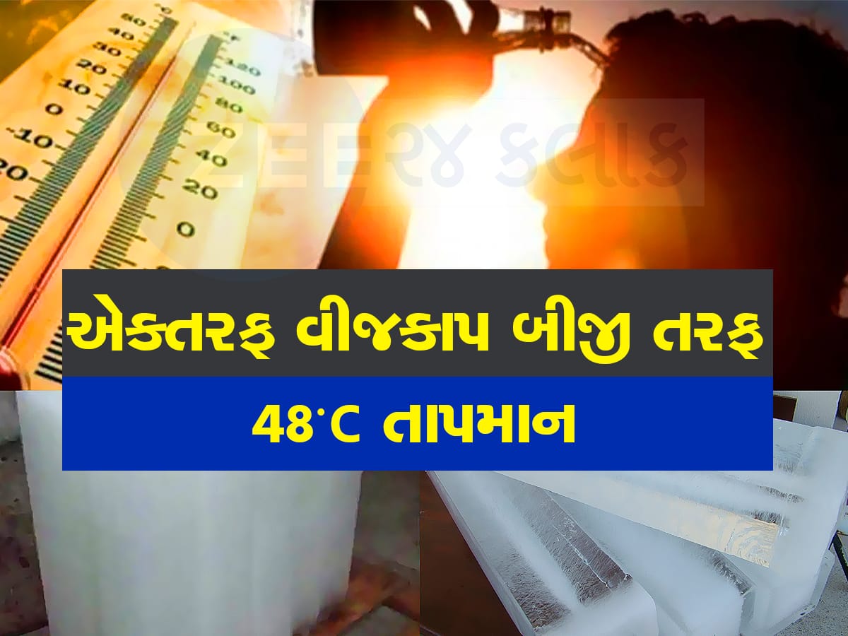 Heatwave: ગરમીએ તોડ્યો રેકોર્ડ: આ દેશમાં હિટવેવના લીધે100 લોકોના મોત, બ્રેડ અને દૂધ કરતાં બરફ બન્યો મોંઘો