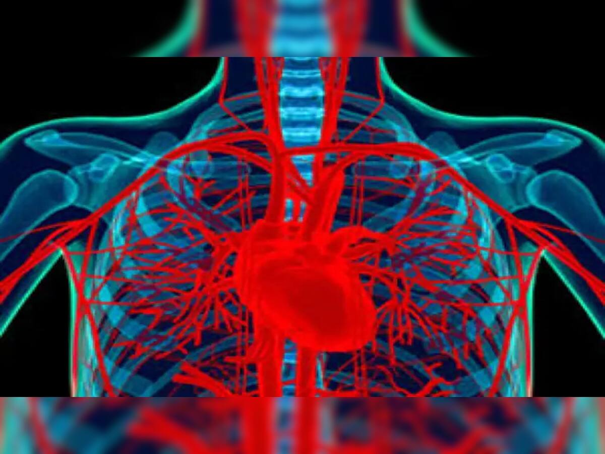 Heart Health: હાર્ટ બ્લોકેજની શરુઆતમાં જોવા મળે છે આ 5 લક્ષણ, 99 ટકા લોકો ઈગ્નોર કરવાની કરે છે ભુલ