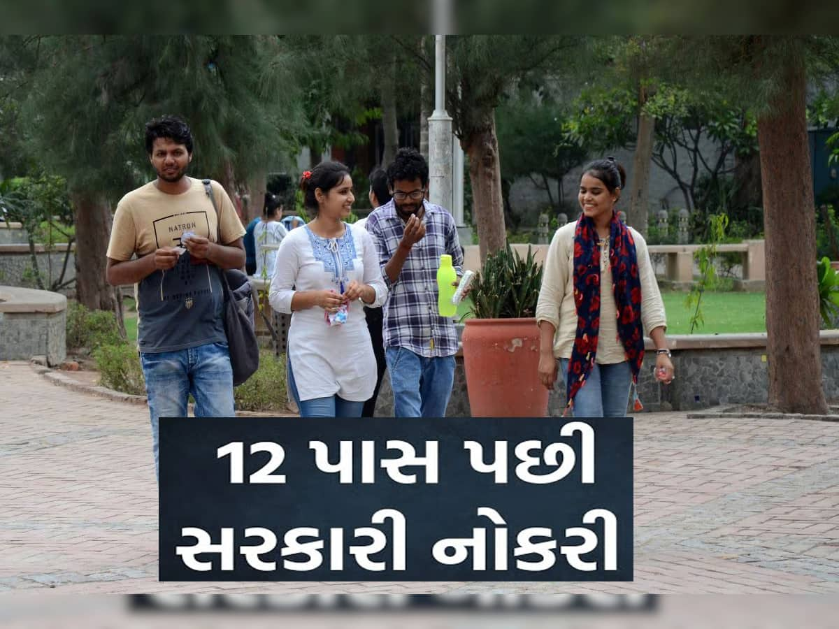 ધોરણ 12 પાસ કર્યા બાદ સરકારી નોકરી કરવી છે? ફટાફટ કરજો આ કામ...મળશે મંત્રાલયમાં નોકરી