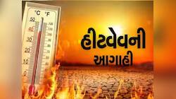 ગુજરાતમાં મતદાનના દિવસે સર્જાશે આ મોટી મુશ્કેલી! જાણો તંત્રએ શું કરી વિશેષ વ્યવસ્થા?