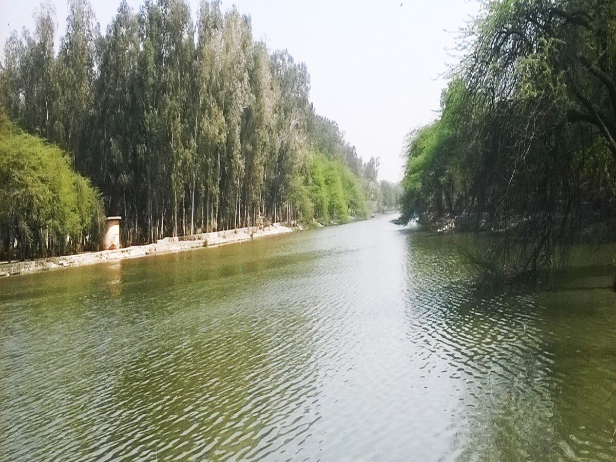 छवि