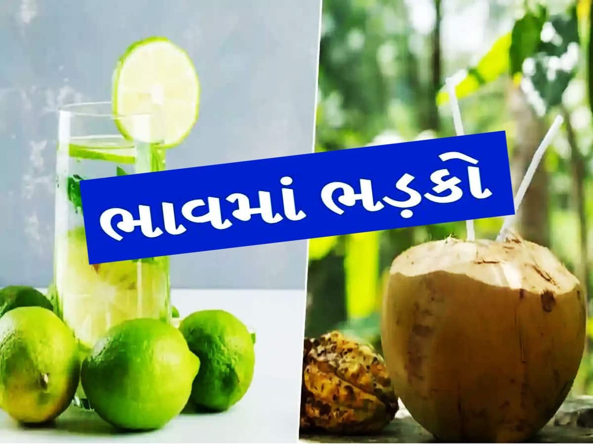 ગરમી વધતા લીંબુ, ફૂદીનો, નારિયેળના ભાવ વધ્યા, શાકભાજીના ભાવમાં પણ ઉછાળો