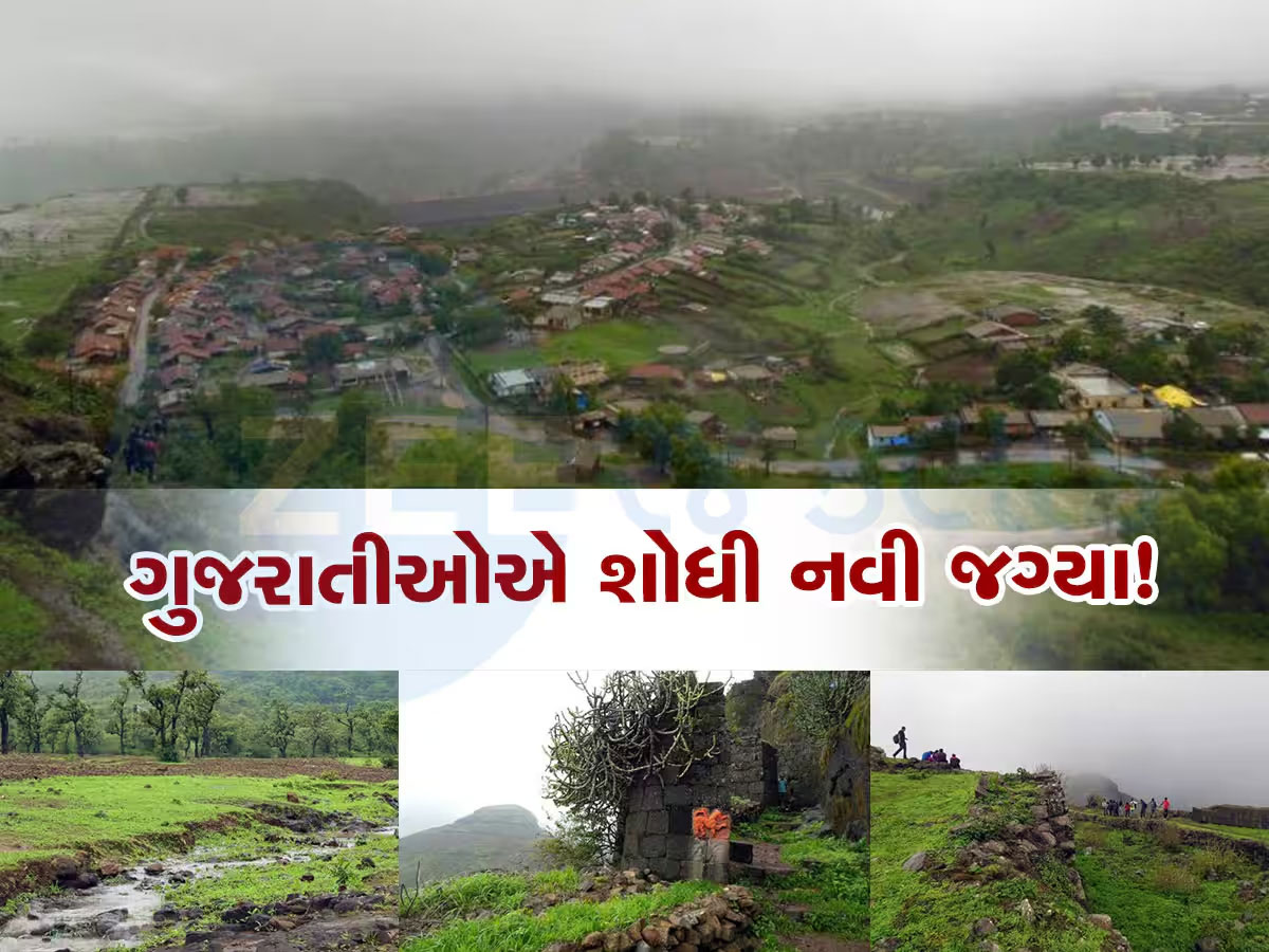 દીવ, દમણ છોડી હવે ગુજરાતીઓ આ જગ્યાએ જવા માટે કરે છે પડાપડી! સાપુતારાની એકદમ નજીક દીવ, દમણ છોડી હવે ગુજરાતીઓ આ જગ્યાએ જવા માટે કરે છે પડાપડી! સાપુતારાની એકદમ નજીક