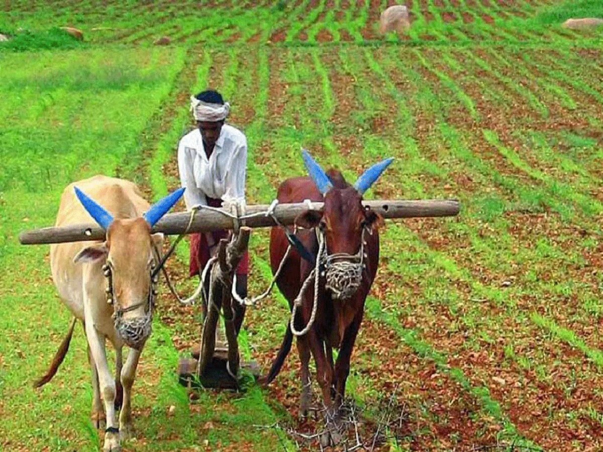 પીએમ કિસાન યોજનાનો 17મો હપ્તો