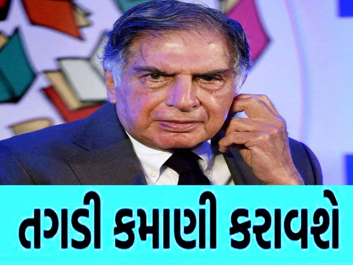 TATA નો આ શેર તમને અપાવી શકે છે ઘર, ગાડી અને 'સોનાની થાળી'