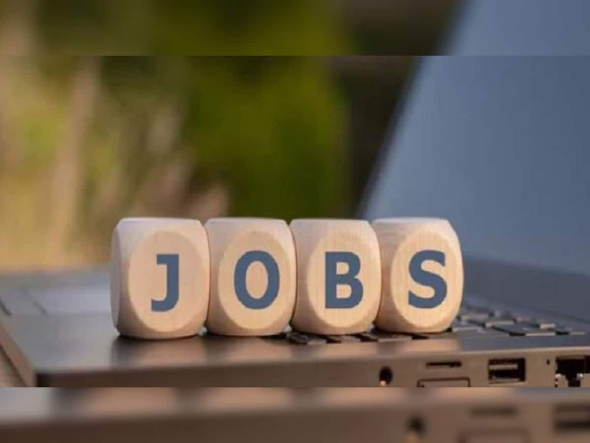 Government Job: સરકારી નોકરી કરવી છે તો ધોરણ 12 પાસ છાત્રો માટે આ છે ઉજ્જવળ તકો, આ મંત્રાલયોમાં મળશે નોકરી