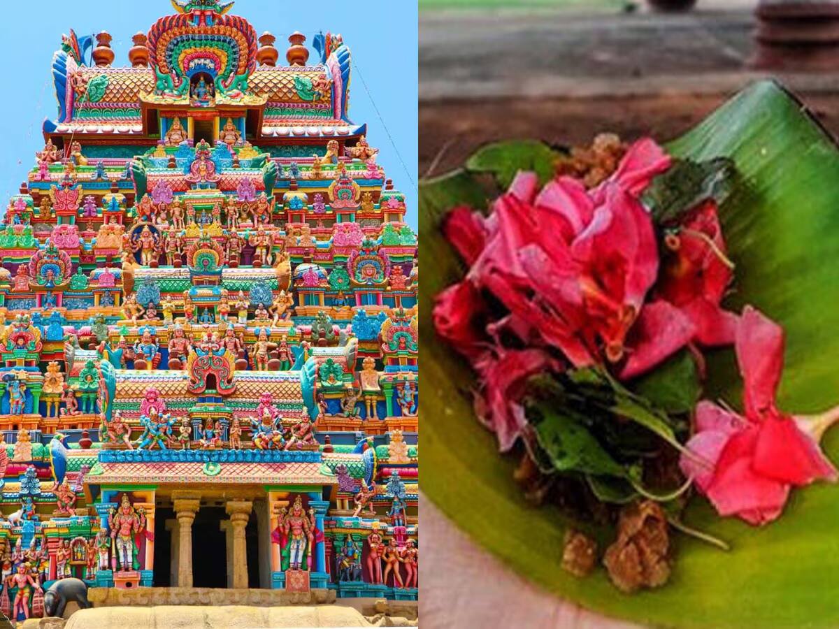 Kerala Temples: કેરલના મંદિરોમાં હવે નહી ચઢે આ ફૂલ, બની રહ્યા હતા મોતનું કારણ