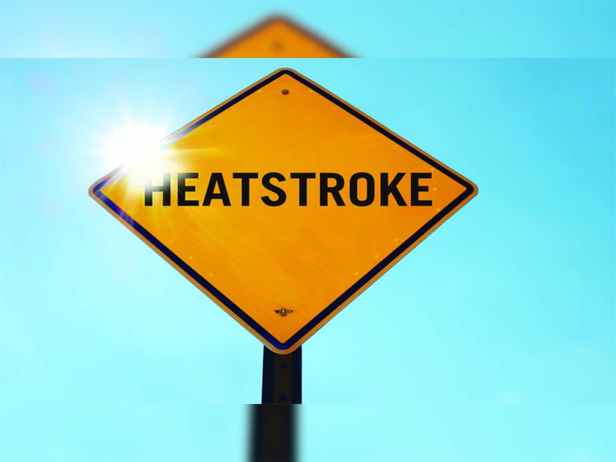 Heatstroke: હીટ સ્ટ્રોકના જોખમને ટાળે છે આ 5 આયુર્વેદિક જડીબુટ્ટી, જાણો કઈ છે આ વસ્તુઓ અને કેવી રીતે કરવો ઉપયોગ