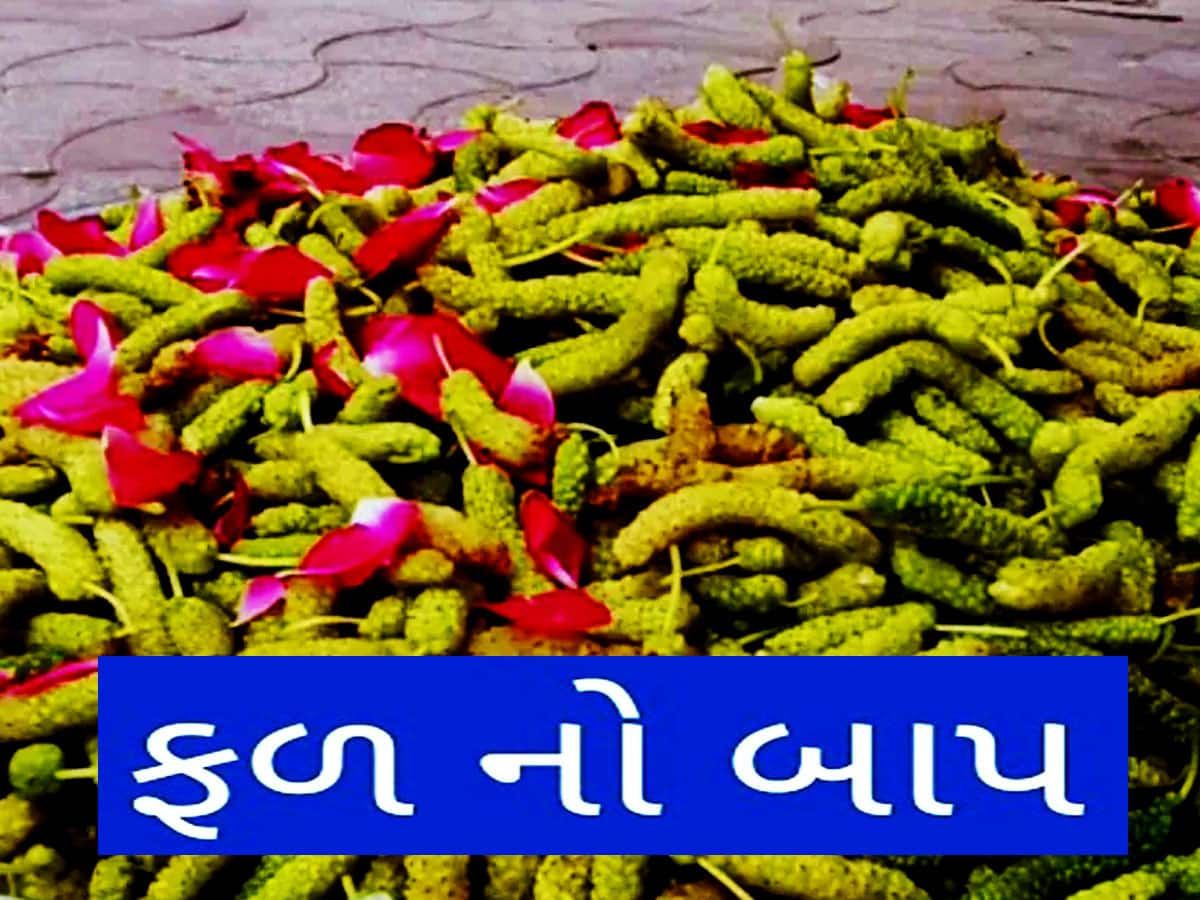 મોંઘા ફળોનો બાપ છે કીડા જેવું દેખાતું આ ફળ! 12માંથી માંડ બે મહિના જ દેખાય છે બજારમાં