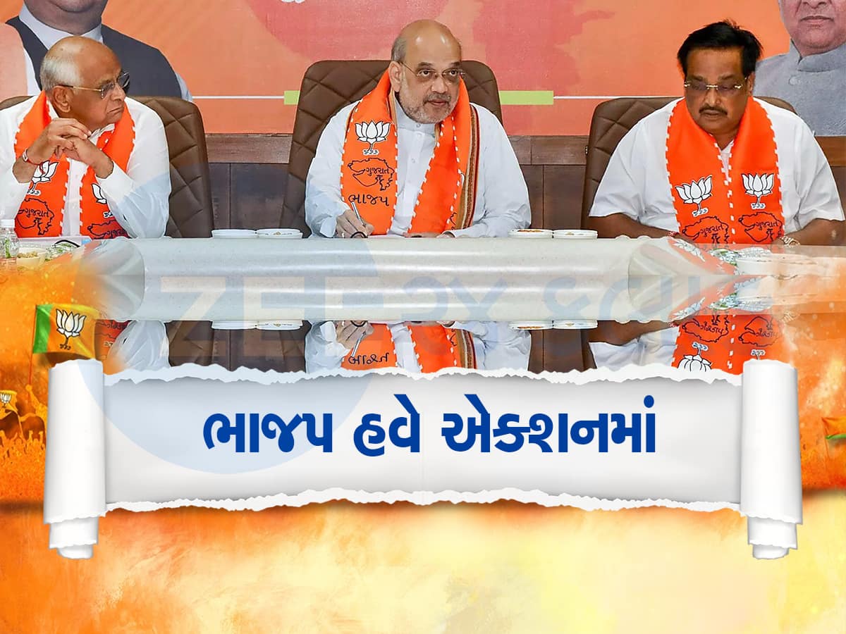 ચૂંટણીમાં કોણે દગો કર્યો! ભાજપના નેતાઓના બગાવતી સૂરના અવાજ કમલમના કાન સુધી પહોંચ્યા 