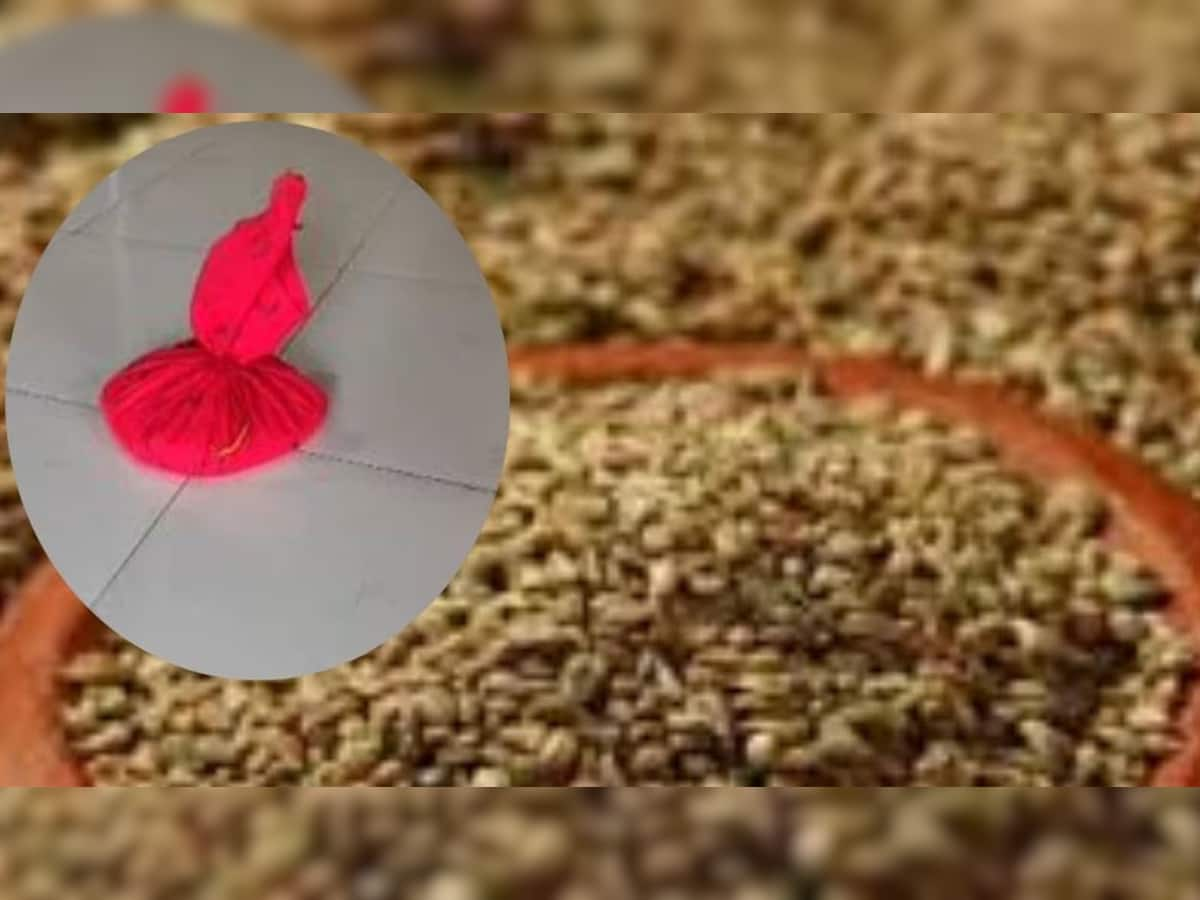 Ajwain Ki Potli: ઘરની આ દિશામાં રાખી દો આ પોટલી, દિવસ-રાત વધતી રહેશે ધનની આવક, ગ્રહ દોષ થશે દુર