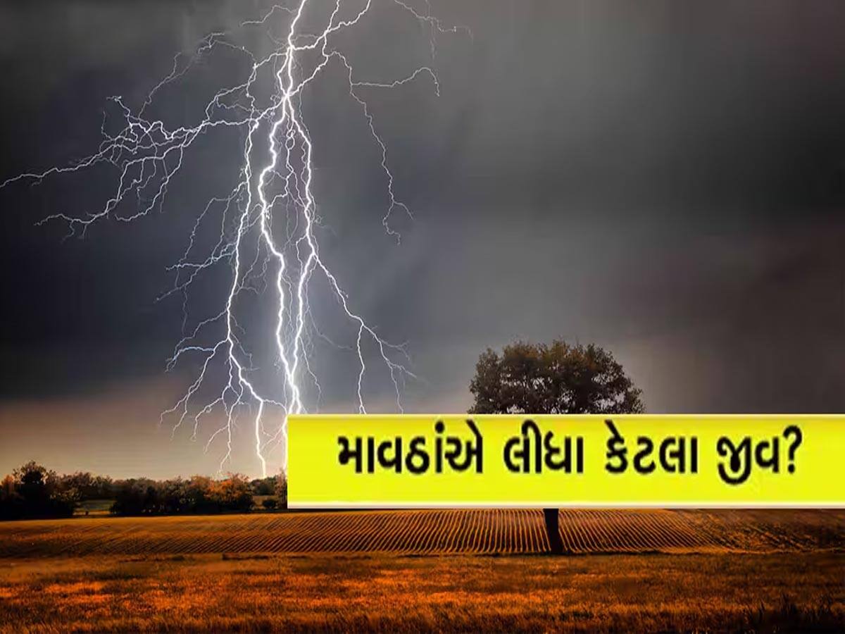 ગુજરાતમાં બરબાદીનો વરસાદ, રાણસીકીમાં સૌથી વધુ, જાણો વીજળી પડવાથી ક્યા કેટલા મોત?