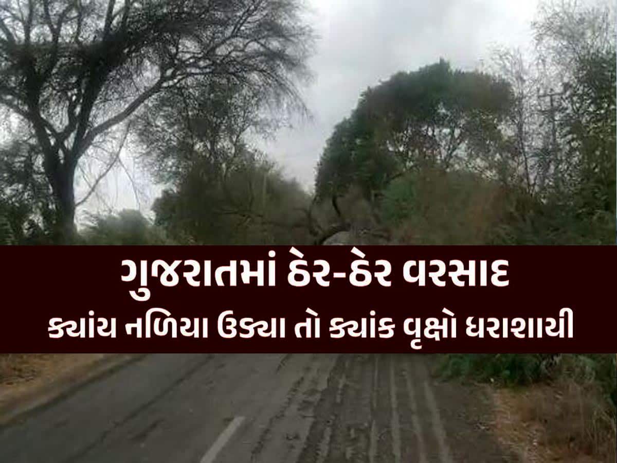ગુજરાતના અનેક જિલ્લામાં મિની વાવાઝોડું ફૂંકાયું! અનેક સ્થળોએ વૃક્ષો- વીજપોલ ધરાશાયી