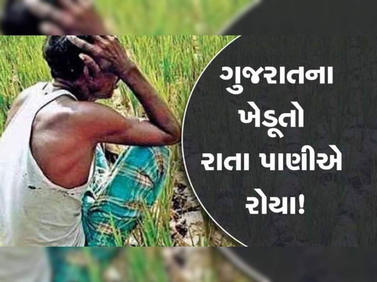 Gujarat Weather News: સતત કમોસમી વરસાદના મારથી ખેડૂતોની ચિંતા વધી, ડાંગમાં આંધી તોફાને તારાજી સર્જી, હજુ પણ આ વિસ્તારોમાં વરસાદની આગાહી