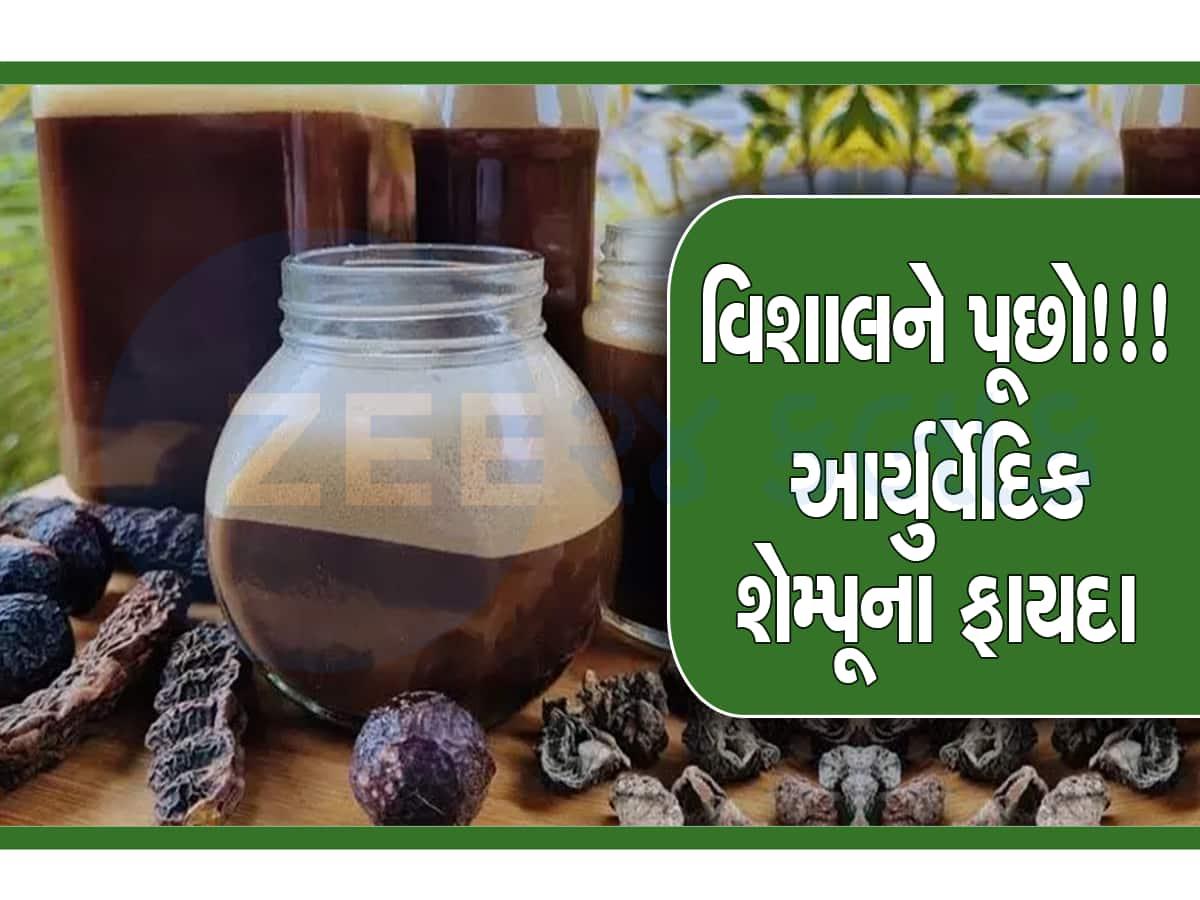 Herbal Shampoo: શિકાકાઇ, આંબળા, અરીઠાથી બનાવો આ 'દેસી ઇન્ડીયન શેમ્પૂ', ઔષધિય ગુણોથી ભરપૂર