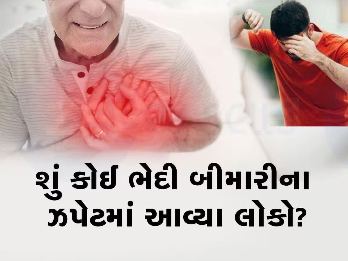 ગુજરાતમાં નવી મહામારીનો ખતરો : સુરતમાં 24 કલાકમાં 4 મોત, વડોદરામાં 48 કલાકમાં 7 મોત