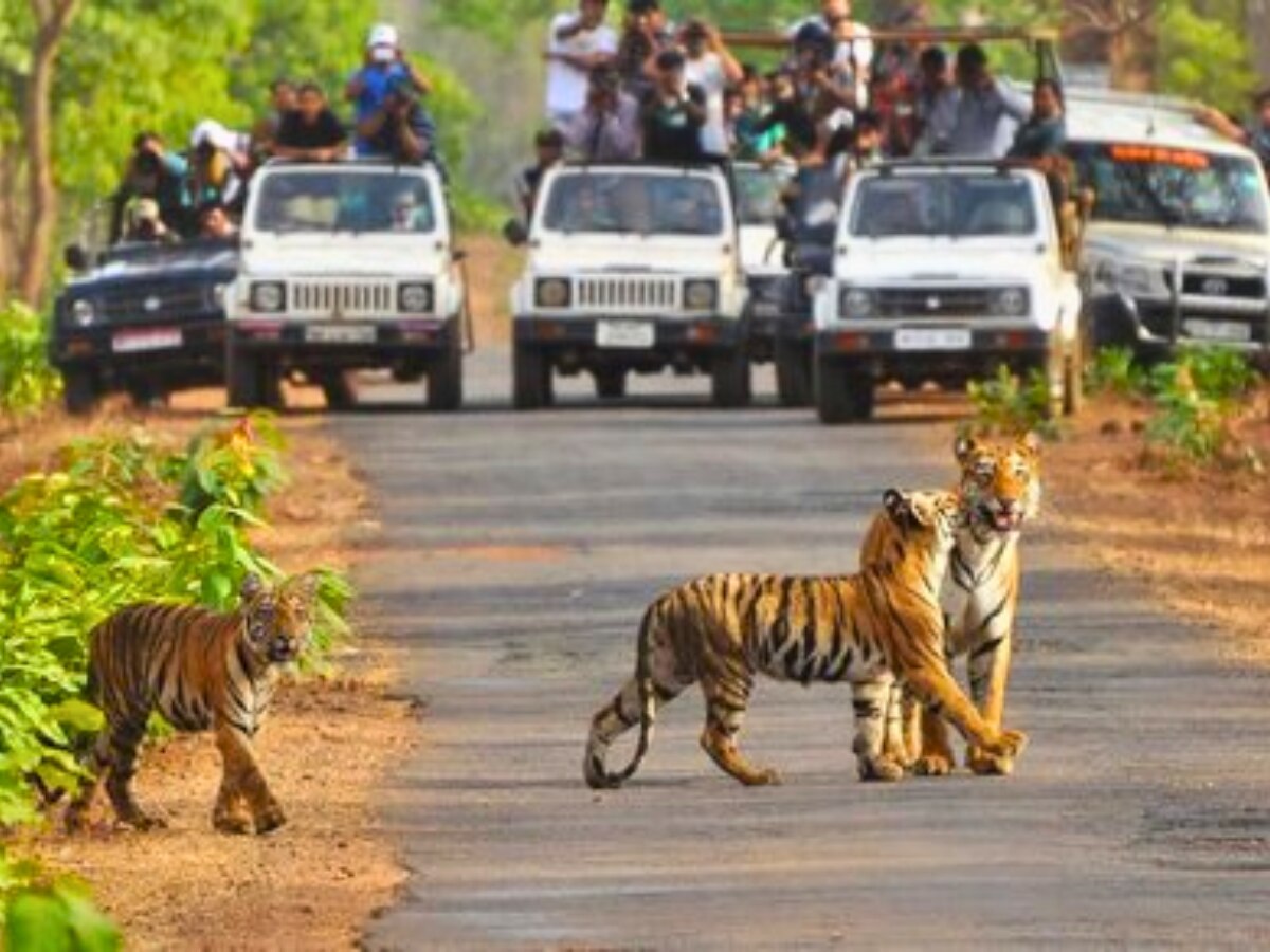 કાન્હા રાષ્ટ્રીય ઉદ્યાન