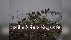 રાજકોટમાં અજુગતું બન્યું; એકાએક આ ગાર્ડનમાં અનેક પક્ષીઓ વૃક્ષો પરથી નીચે પડવા લાગ્યા